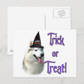 Siberian Husky Trick Postkarte (Vorne/Hinten)