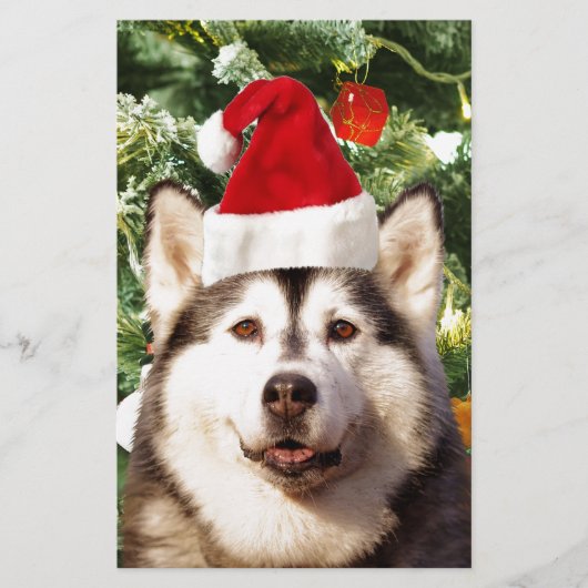 Siberian Husky Weihnachtsbaum Ornamente Schneemann Briefpapier (Vorderseite)