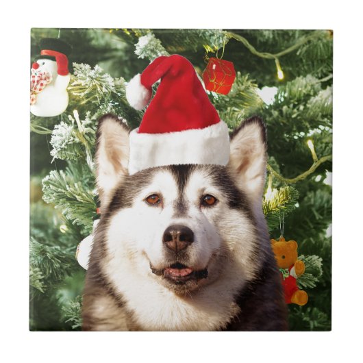Siberian Husky Weihnachtsbaum Ornamente Schneemann Fliese (Vorderseite)