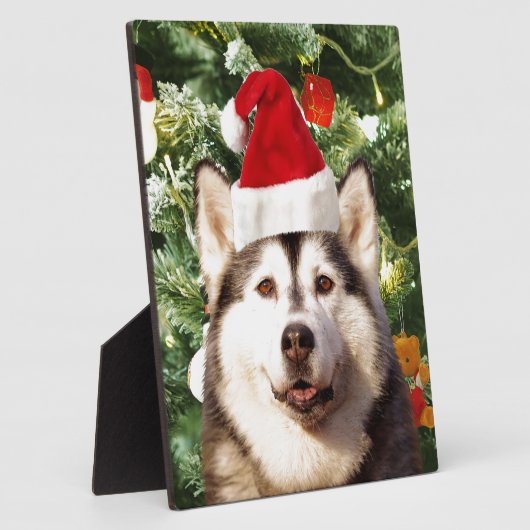 Siberian Husky Weihnachtsbaum Ornamente Schneemann Fotoplatte (Seite)
