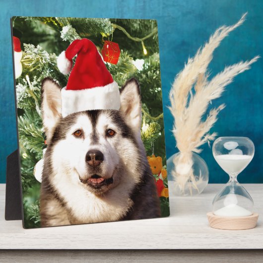 Siberian Husky Weihnachtsbaum Ornamente Schneemann Fotoplatte (Seite)