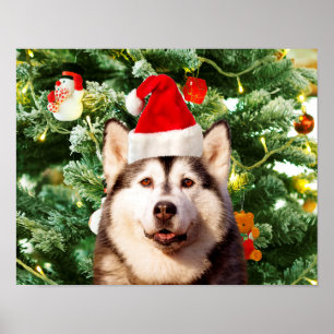 Siberian Husky Weihnachtsbaum Ornamente Schneemann Poster