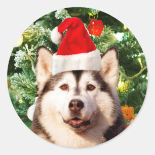 Siberian Husky Weihnachtsbaum Ornamente Schneemann Runder Aufkleber