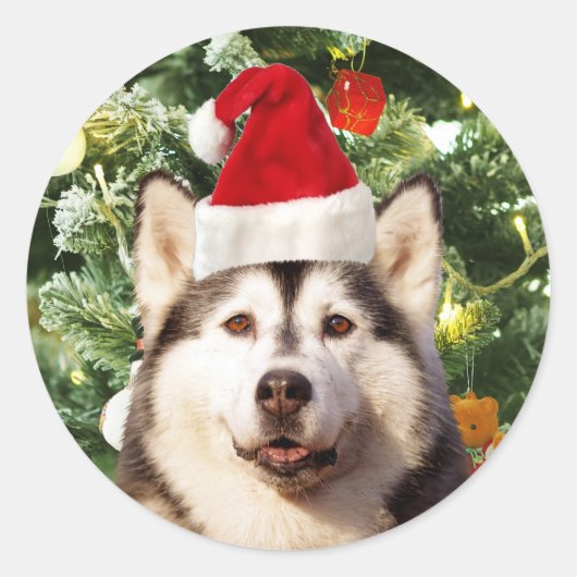 Siberian Husky Weihnachtsbaum Ornamente Schneemann Runder Aufkleber (Vorderseite)