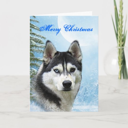 Siberian Husky Weihnachtskarte Feiertagskarte (Vorderseite)