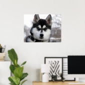 Siberian Husky Welpenposter Poster (Heimbüro)