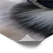 Siberian Husky Welpenposter Poster (Ecke)