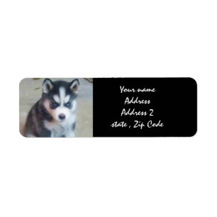 Siberian Husky Welppy-Adressetiketten