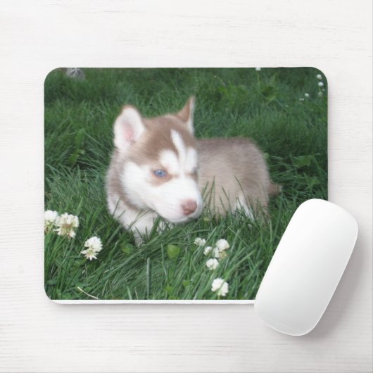 Siberian Husky Welppy Mousepad (Mit Mouse)