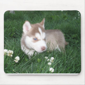 Siberian Husky Welppy Mousepad