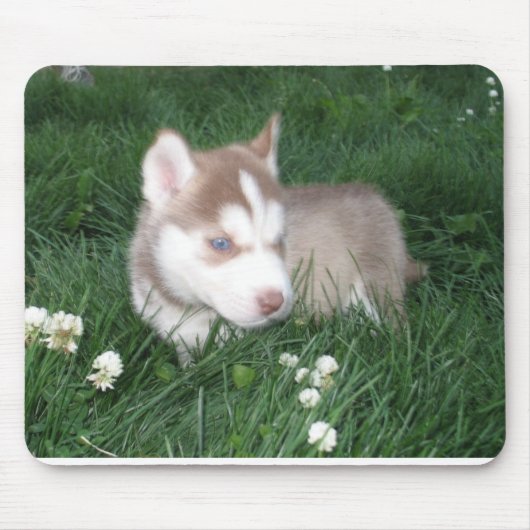 Siberian Husky Welppy Mousepad (Vorne)