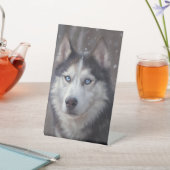 Siberian Husky Winter Sockelschild (In SItu)