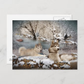 Siberian Husky Winter Wonderland Postkarte (Vorne/Hinten)