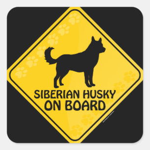 Siberian Husky Xing Quadratischer Aufkleber