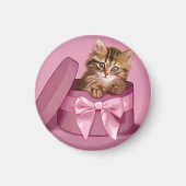 Siberian Kitten Magnet (Vorne)