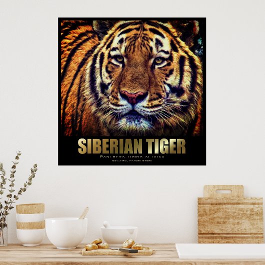 Siberian Tiger: Poster (Küche)
