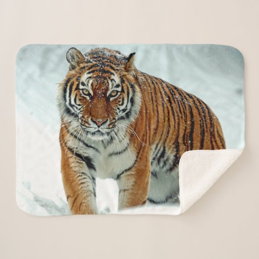 SIBERIAN TIGER SHERPADECKE (Vorderseite (Horizontal))