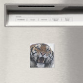 Siberian Tiger Snarling Magnet (In Situ (Geschirrspüler))