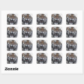 Siberian Tiger Snarling Quadratischer Aufkleber (Blatt)