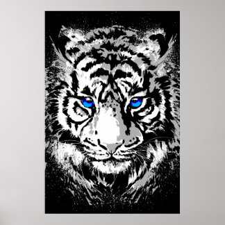 Siberian White Tiger Head - Tiger Poster Blue Eyes