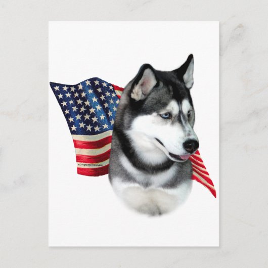 Siberische Husky-Flagge Postkarte (Vorderseite)