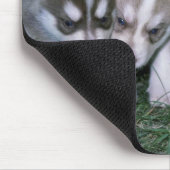 Siberische Husky-Jungtiere, 3 Wochen Mousepad (Ecke)