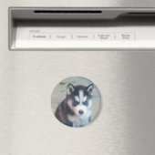 Siberische Husky-Welpenkunst Magnet (In Situ (Geschirrspüler))
