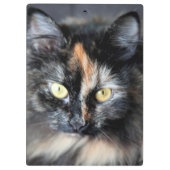 Siberische Katze Klemmbrett (Rückseite)