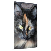 Siberische Katze Klemmbrett (Rechts)