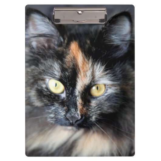 Siberische Katze Klemmbrett (Vorderseite)