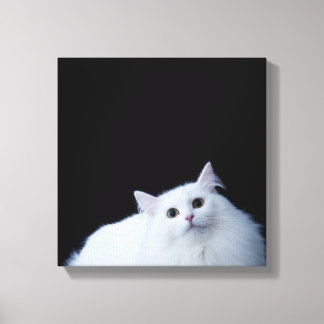 Siberische Katze Leinwanddruck