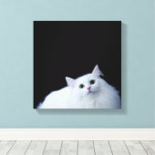 Siberische Katze Leinwanddruck (Insitu (Holzboden))