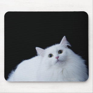 Siberische Katze Mousepad