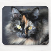 Siberische Katze Mousepad (Vorne)