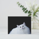 Siberische Katze Postkarte (Stehend Vorderseite)