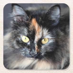 Siberische Katze Rechteckiger Pappuntersetzer