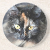 Siberische Katze Sandstein Untersetzer (Vorne)