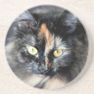 Siberische Katze Sandstein Untersetzer