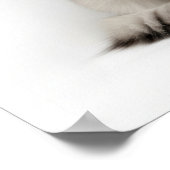 Siberische Katzenkunst Poster (Ecke)