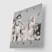 Siberischer Huskies Square Wall Clock Quadratische Wanduhr (Winkel)