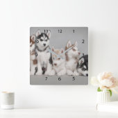 Siberischer Huskies Square Wall Clock Quadratische Wanduhr (Zuhause)