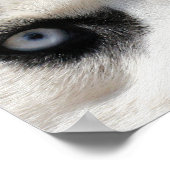 Siberischer Husky-Demon 3 Poster (Ecke)