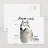 Siberischer Husky-Geschichtsentwurf Postkarte (Vorne/Hinten)