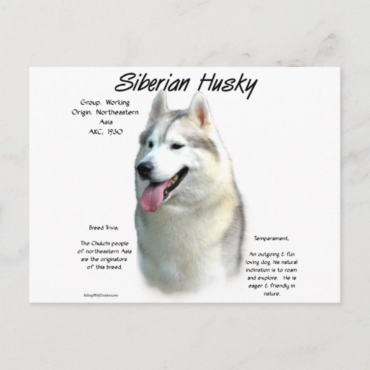 Siberischer Husky-Geschichtsentwurf Postkarte (Vorderseite)