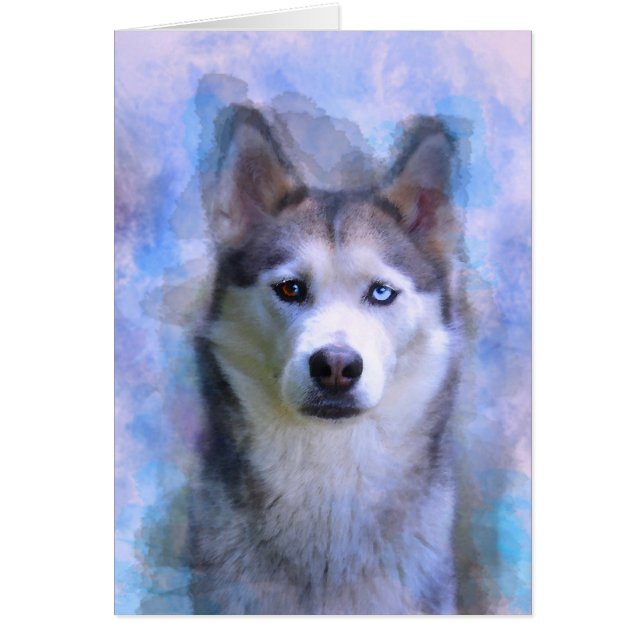 Siberischer Husky Hund Farbe Farbe Farbe Malerei (Vorne)