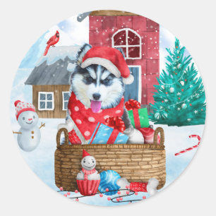 Siberischer Husky Hund im Schnee Weihnachtshundeha Runder Aufkleber
