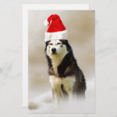 Siberischer Husky-Hund mit Weihnachtsmannmütze im Briefpapier (Vorne/Hinten)
