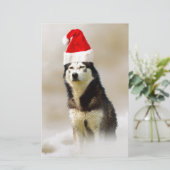 Siberischer Husky-Hund mit Weihnachtsmannmütze im Briefpapier (Stehend Vorderseite)