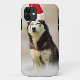 Siberischer Husky-Hund mit Weihnachtsmannmütze im Case-Mate iPhone Hülle