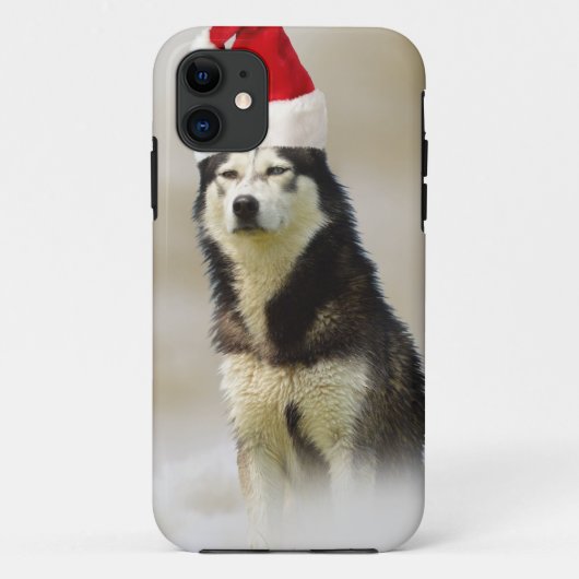 Siberischer Husky-Hund mit Weihnachtsmannmütze im Case-Mate iPhone Hülle (Rückseite)